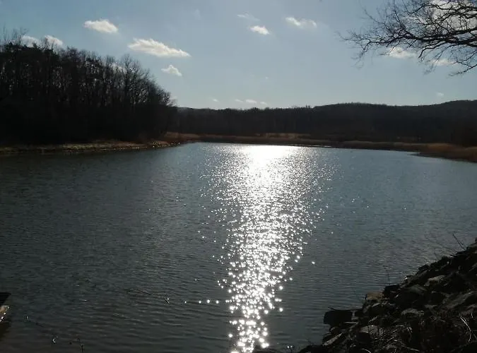 홈스테이 U Lesicka Vysoka (Bruntal)