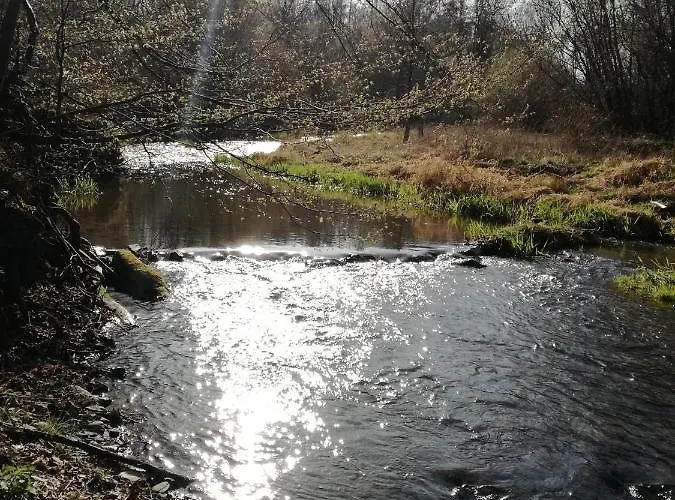 U Lesicka 홈스테이 *