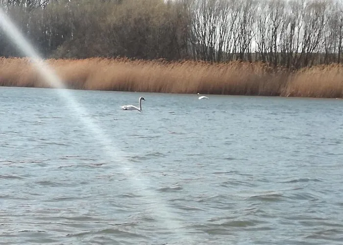 U Lesicka 홈스테이 Vysoka (Bruntal)